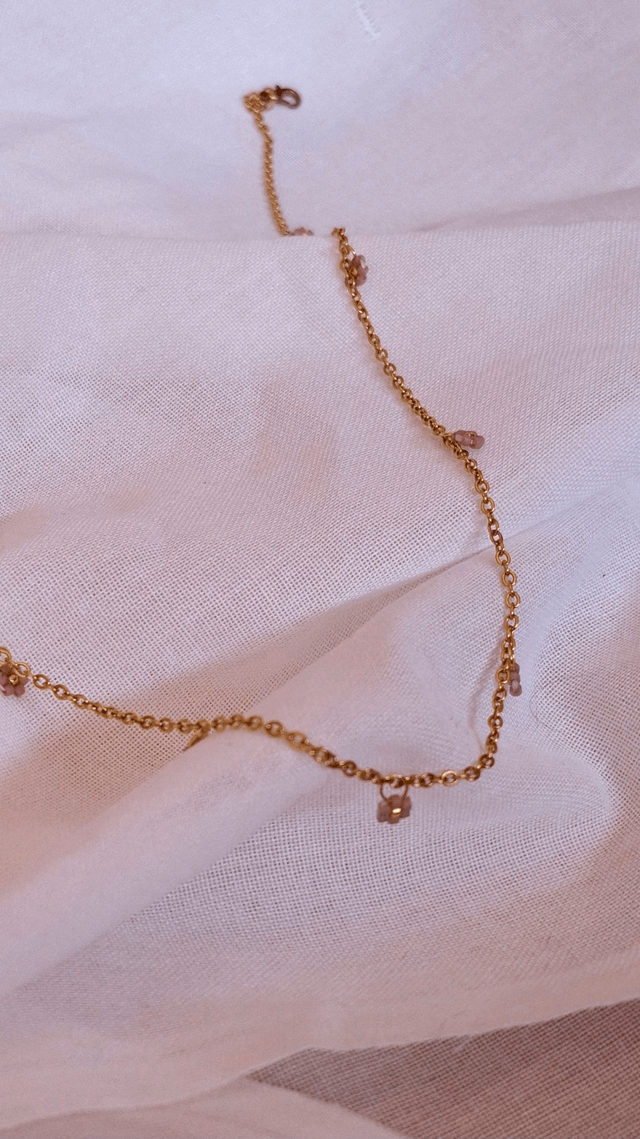 Collier crocus