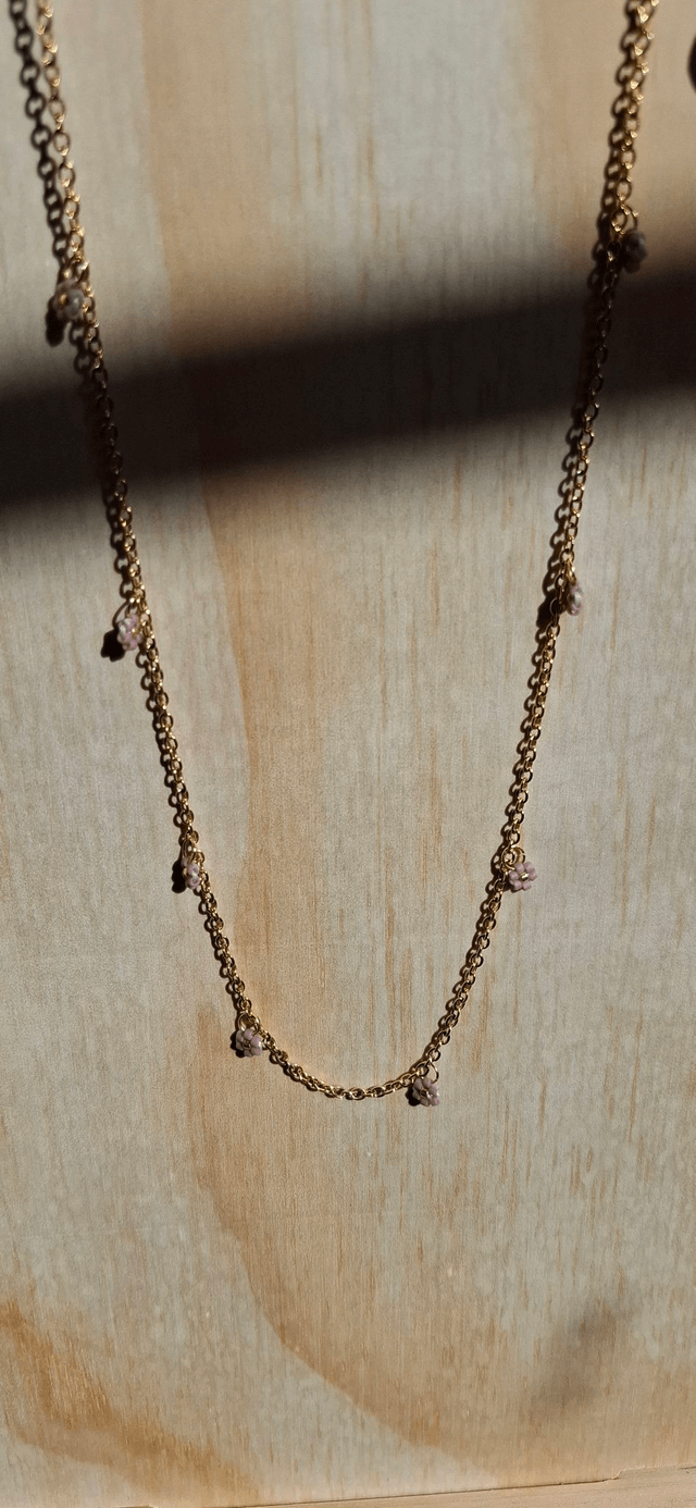 Collier crocus