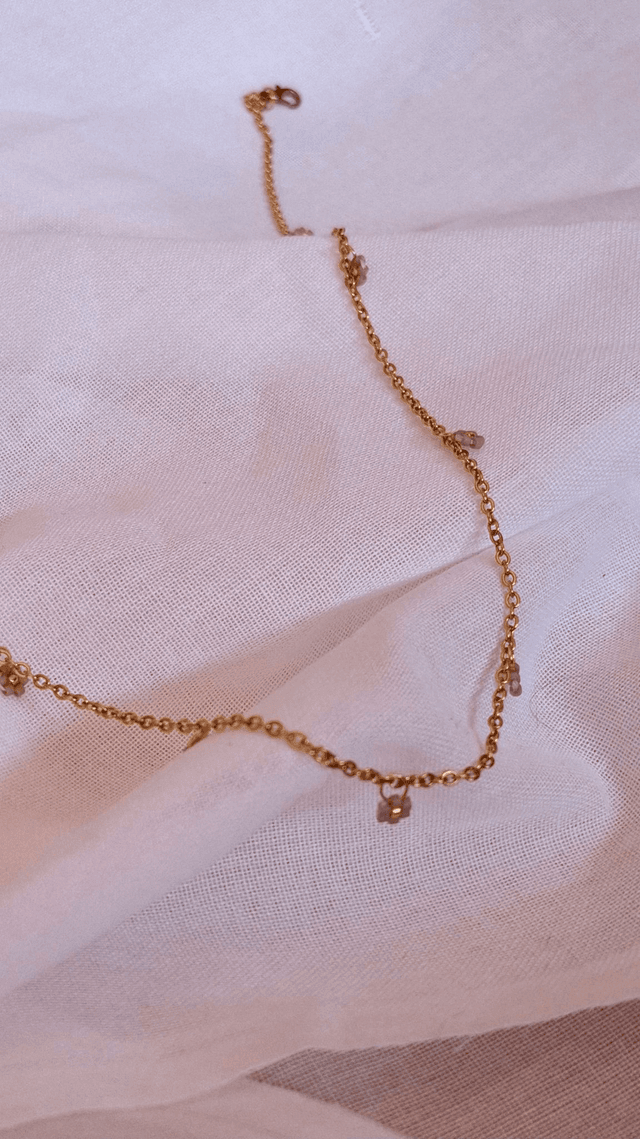 Collier crocus